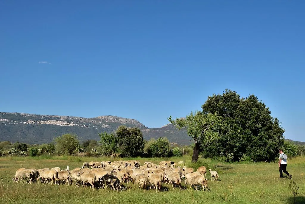 Farm stay I Mandorli Villa Lotzorai