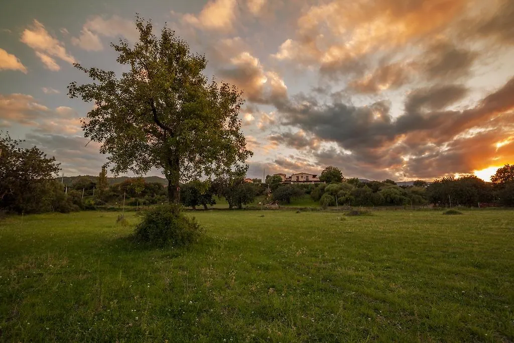 I Mandorli Villa Lotzorai Farm stay