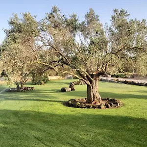  Alloggio per agriturismo Su Sattisceddu