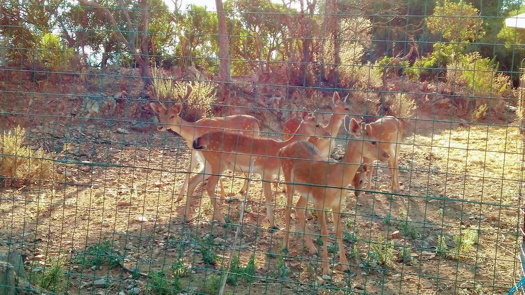 I Mandorli Villa Lotzorai Farm stay